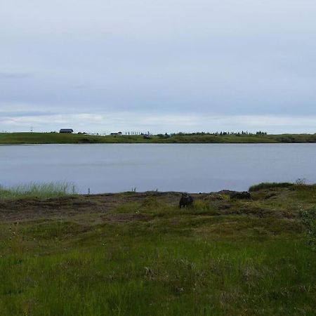 Lakeview Cabin Near Kirkjubæjarklaustur Kültér fotó